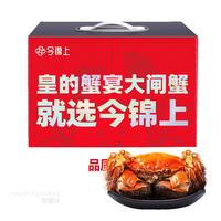 今锦上 大闸蟹鲜活螃蟹礼盒全母2.3-2.6两8只装精品礼盒礼品 去绳足重
