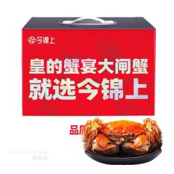 今锦上 大闸蟹鲜活螃蟹礼盒全母2.3-2.6两8只装精品礼盒礼品 去绳足重