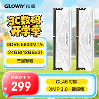 光威 24GB(12GBx2)套装 DDR5 5600 台式机内存条 天策系列 助力AI 适配黑神话悟空