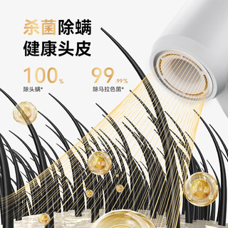  京东京造 等离子 电吹风机  星淬灰