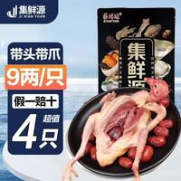 百亿补贴：集鲜源 散养土鸽9两特大现杀乳鸽鸽子孕妇净重不含冰 两只