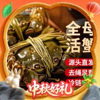 蟹叁钳庄 全母2.5-2.8两 现货大闸蟹 8只礼盒装