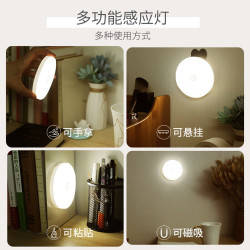 以典 【白暖双色切换带开关人体感应灯】