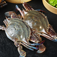 舟山梭子蟹鲜活大号野生大螃蟹新鲜冷冻海鲜水产海蟹飞蟹白蟹 3-5两/只【3斤装】