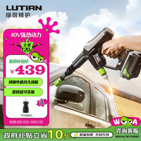 绿田 G4Le  电动洗车机 220W