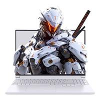 机械革命 极光X U7-255HX RTX5070 16GB+1TB 灰色 游戏本