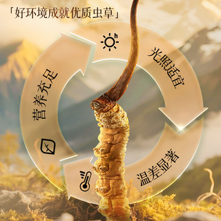 中秋礼盒雷允上冬虫夏草礼盒长辈补品高端礼