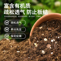 园艺家 营养土养花通用土泥炭种花种菜土壤种植复合肥有机土