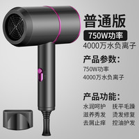喜旗 XIQI 电吹风机家用发廊静音负离子护发大功率不伤宿舍吹风筒