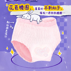 苏菲 卫生巾超熟睡兔子安心裤姨妈巾M~L码13片*1包