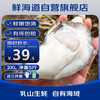 鲜海道 XIANHAIDAO 乳山生蚝 3XL 5斤 13-17只