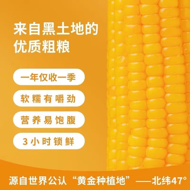 京喜加 2025年东北黄甜糯玉米棒真空包装低脂 黄糯玉米4支 150-200克