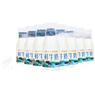 天润 TERUN鲜牛奶巴氏杀菌鲜牛奶3.8g蛋白质210g*8瓶、
