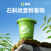斛妈妈 斛 霍山铁皮石斛粉尝鲜装3g