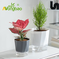 农宝 懒人自动吸水花盆3个装白色塑料树脂简约