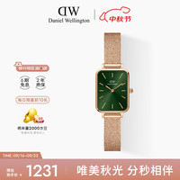 Daniel Wellington 丹尼尔惠灵顿 QUADRO系列 20毫米石英腕表 DW00100445