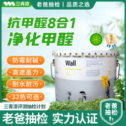 三青 抗甲醛8合1净味乳胶漆 1.1kg 白色
