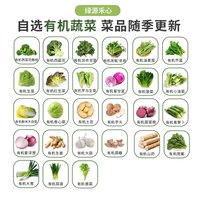 绿源禾心有机蔬菜新鲜采摘自选食材套餐农家当季时令自然熟无农残蔬菜 有机铁棍山药0.6斤