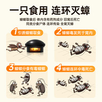 灭蟑螂药一窝全窝端绝杀强效除虫卵双杀无毒婴儿可用家用