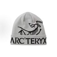 百亿补贴：ARC'TERYX 始祖鸟 冷帽 男女同款 X000006644