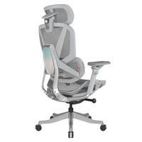 ENOVA合金大师 人体工学椅电脑椅人工力学座椅撑腰久坐办公椅电竞椅