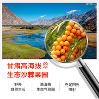 纯耕沙棘原浆鲜榨1800ml中秋礼盒甘肃小油果沙棘原汁VC饮料果蔬汁