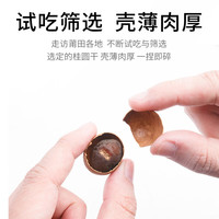 金唐莆田桂圆干300g 龙眼干带壳桂圆肉 莲子百合银耳羹煲汤甜羹食材