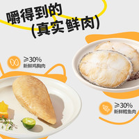 食验室薯片鸡胸肉鳕鱼薯片实验室休闲解馋零食