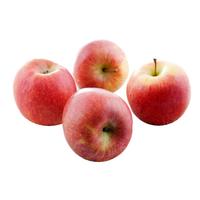 京鲜生 南非富士小苹果5斤装 生鲜水果 源头直发 小富士 5斤装