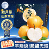 三萌果蔬 山东秋月梨新鲜水果莱阳冰糖梨当季新鲜水果中秋送礼送人整箱 5斤臻品果净重4.5斤