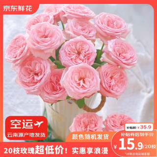 有券的上：京东鲜花 玫瑰花束 20支随机色 鲜切花 中秋节礼物