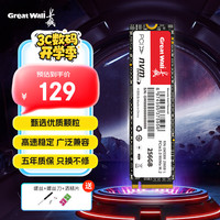 长城 256GB SSD固态硬盘 M.2接