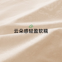 草本初色2025妇炎洁联名抗菌内裤中腰无痕薄款女士三角裤亲肤透气 柔雾紫+云朵蓝+柔肤色 L 【体重110-130斤】