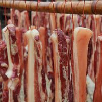 诺斯食美风干腊肉1斤500克江西井冈山特产非烟熏农家土猪日晒五花腊味咸肉 后腿腊肉1斤