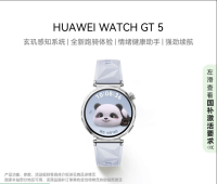 国家补贴：华为 HUAWEI WATCH GT5 智能手表 41mm 冰晶蓝 氟橡胶表带