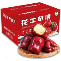 萧鲜生 精选甘肃天水花牛苹果， 2.25-2.5斤【特大果】