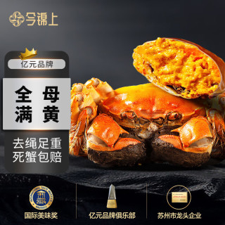 今錦上 大閘蟹鮮活螃蟹禮盒全母2.3-2.6兩8只裝精品禮盒禮品 去繩足重
