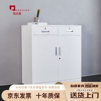 锐达星 REDSING 矮柜办公文件柜资料档案柜铁皮柜储物柜中二斗下节