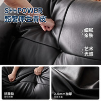 欧派真皮沙发客厅2025小户型头层牛皮高脚直排包豪斯金属星云沙发 欧派-免费寄样-可颜色/尺寸 版 l 头层S++接触面青皮