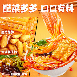 臭宝 柳州螺蛳粉 1386g 爆爆浓汤330g*1+醇爽版300g*2+欢享版228g*2袋