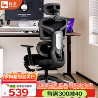 联丰 E-31G 人体工学电脑椅 黑框黑网