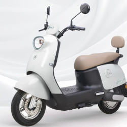 爱玛 智能电动轻便摩托车  辉腾/领航官2025 芦荟绿