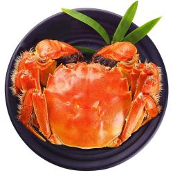 湖中秋色 全母大闸蟹2.3-2.6两8只 螃蟹鲜活海鲜水产中秋盒 源头直发 六月黄2.3-2.6两8只