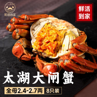 陽澄逍遙 太湖大閘蟹全母2.4-2.7兩8只鮮活螃蟹現(xiàn)貨河蟹生鮮水產(chǎn)禮盒源頭直發(fā)