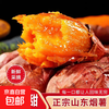 京喜 山东 烟薯25号蜜薯 红心红薯 1斤带箱 单果1两-3两