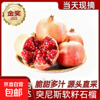 会理突尼斯软籽石榴 2个装