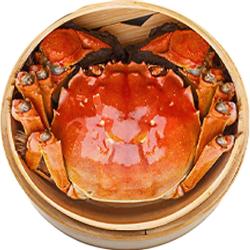 阳澄逍遥 大闸蟹鲜活螃蟹全母蟹2.3-2.6两8只现货生海鲜湖河蟹中秋节送礼品盒