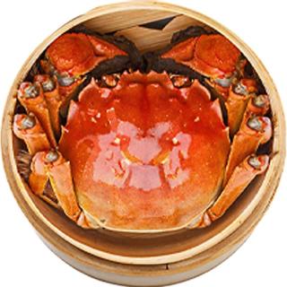 阳澄逍遥 大闸蟹鲜活螃蟹全母蟹2.3-2.6两8只现货生海鲜湖河蟹中秋节送礼品盒