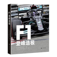 《F1：登峰造极》