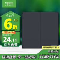 施耐德电气 皓呈系列 双开单控开关 雅致黑色